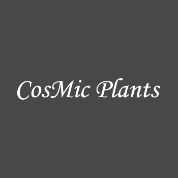 CosMic Plants - FAQ: Is Orchid bark better, or sphagnum moss